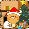 クリスマス ノラ猫ナオくん